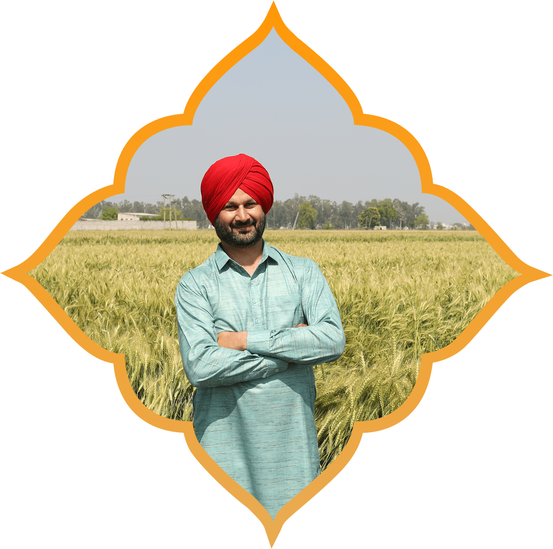 Man standing in wheat field, smiling confidently.